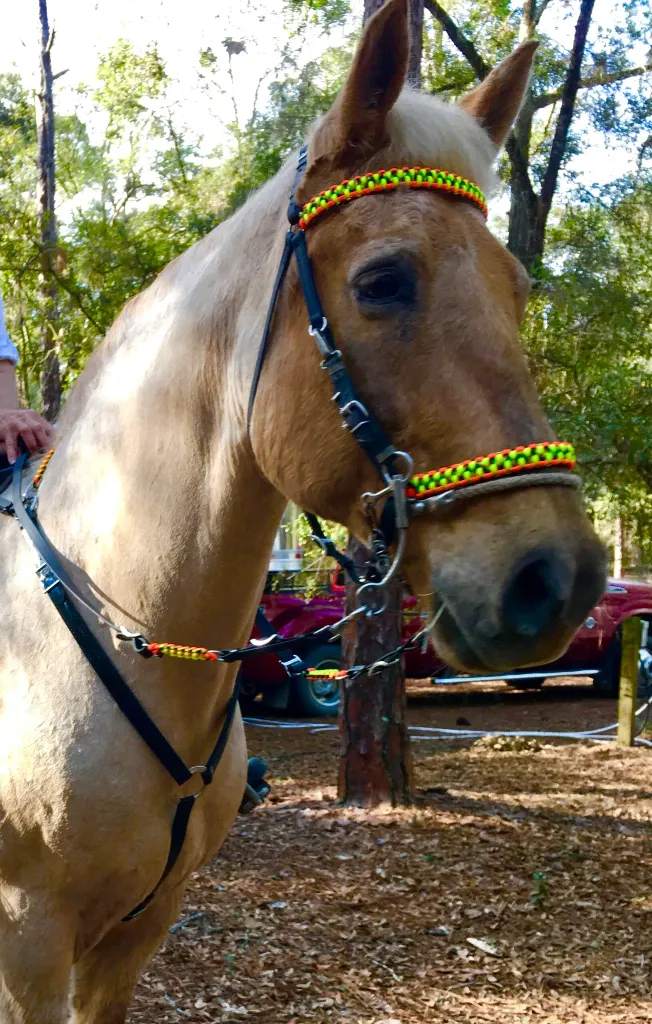 C7DA95CD-8FDD-49B5-BE26-1BDB654C42EE-scaled (1).webp