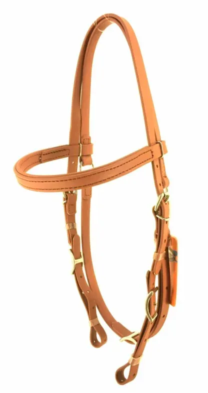 fullsizeoutput_16fb-scaled (1).webp