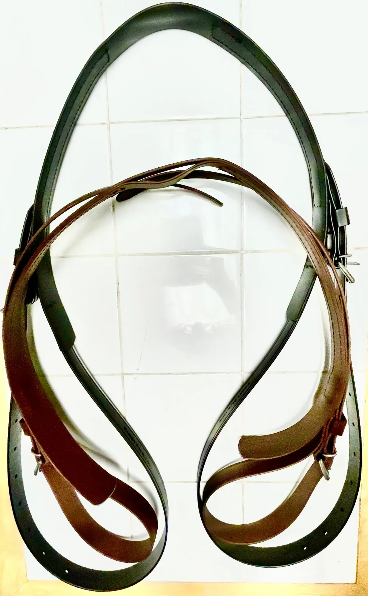 Harness Kicking or Buckling Strap - USA Made BETA Biothane