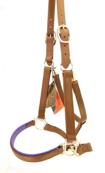 Custom Biothane Lifetime Halter – Guaranteed (Mini, Prom Halter, Semi-Gloss Biothane, Black, Brass)