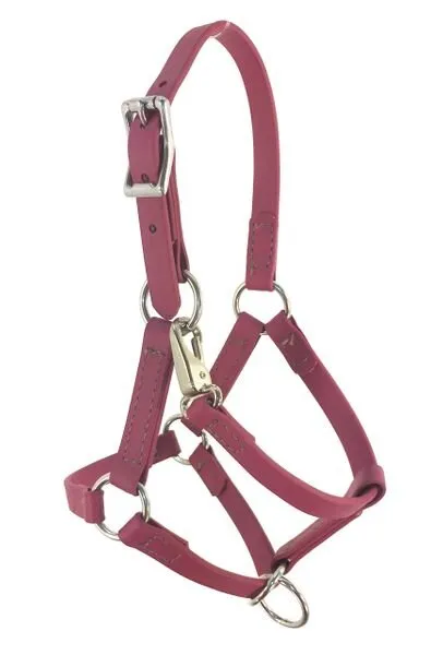 Halter – Mini Horse or Pony
