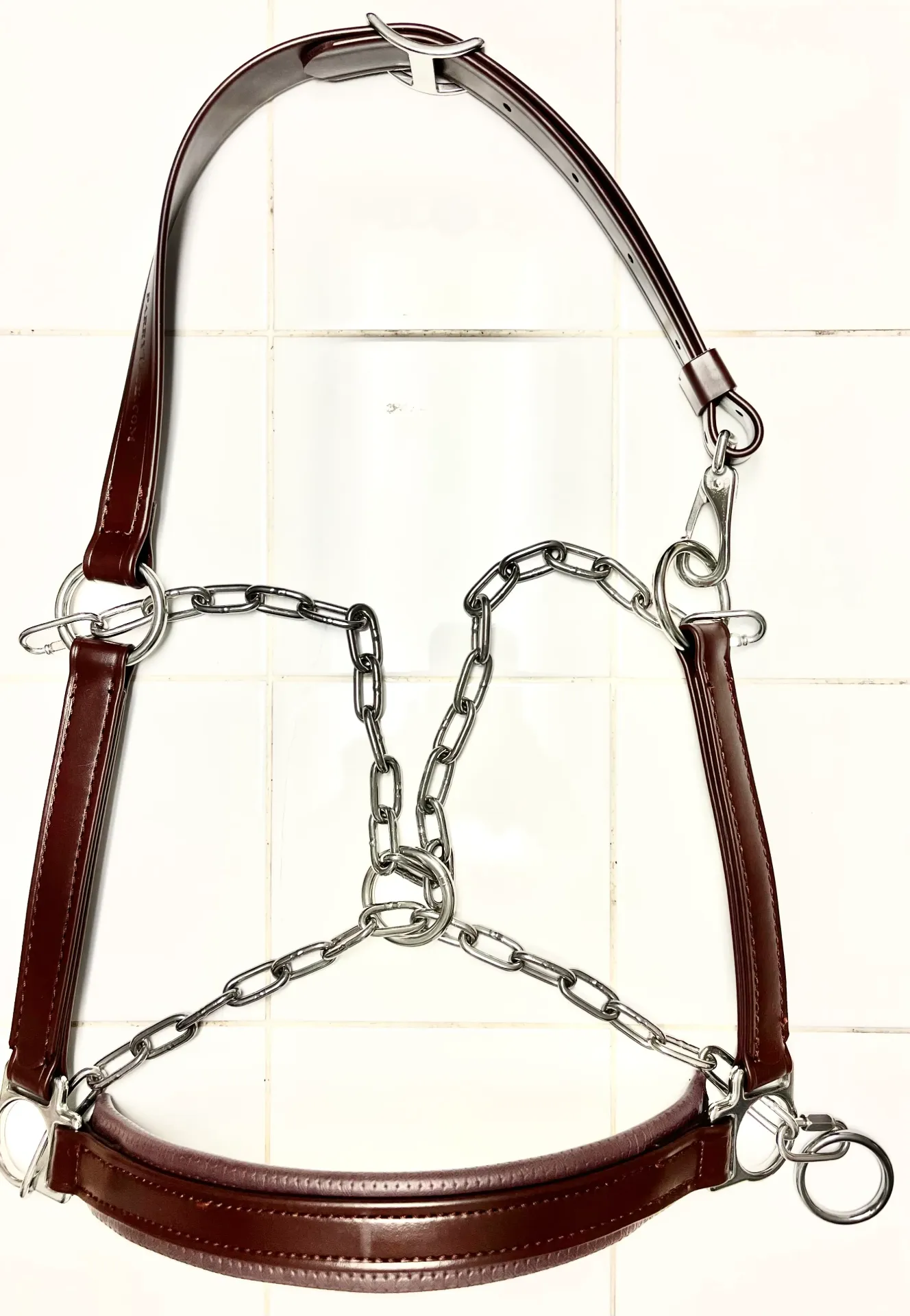 Biothane BETA Halter with SS Draw Chains for Horse and Mules