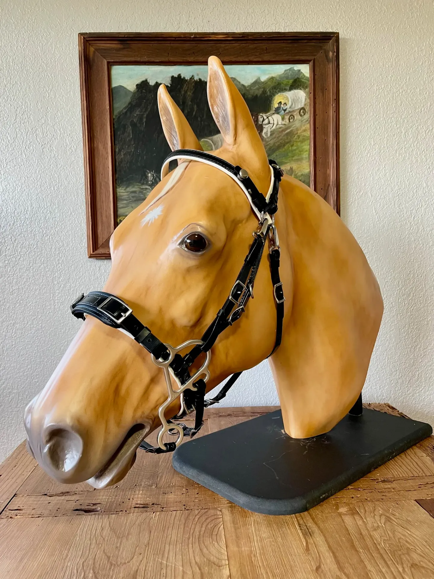 Endurance “Smart” Halter Bridle with Aluminum Hackamore – Complete