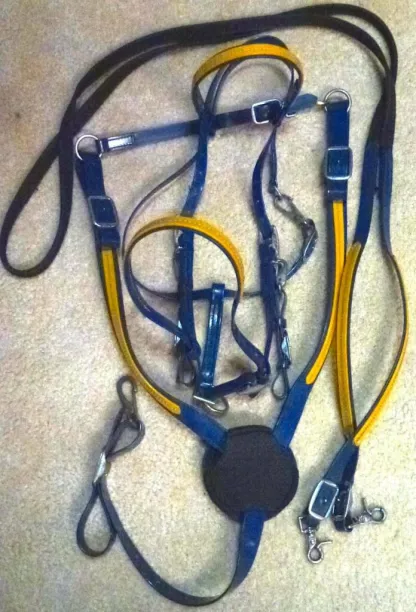 TEF Endurance Bridle