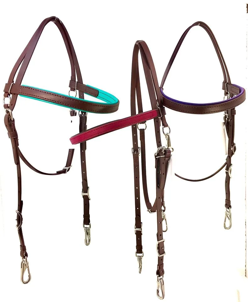 Bridle – Hackamore / Browband Headstall (Mini, Black)