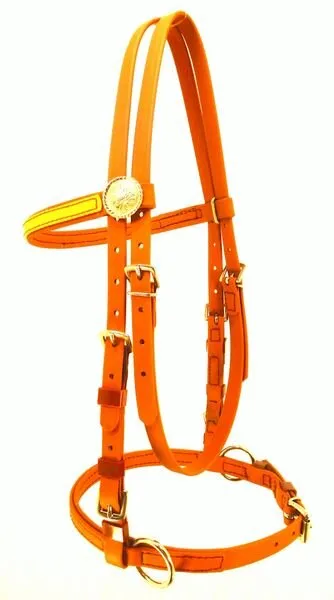 Wild Style 4 in 1 – Bitless or Bitted Bridle