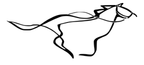 parrytack.com